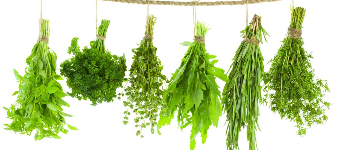 Set of Spice Herbs  /  isolated on white background /  bunches of thyme, basil, oregano, parsley, sage and rosemary are hanging and drying