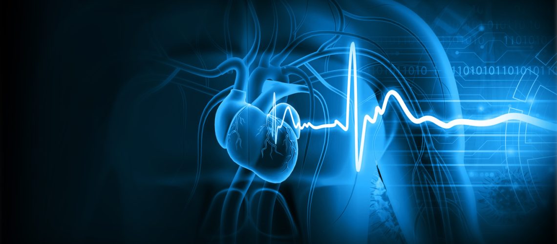 Human heart with ecg graph. 3d illustration